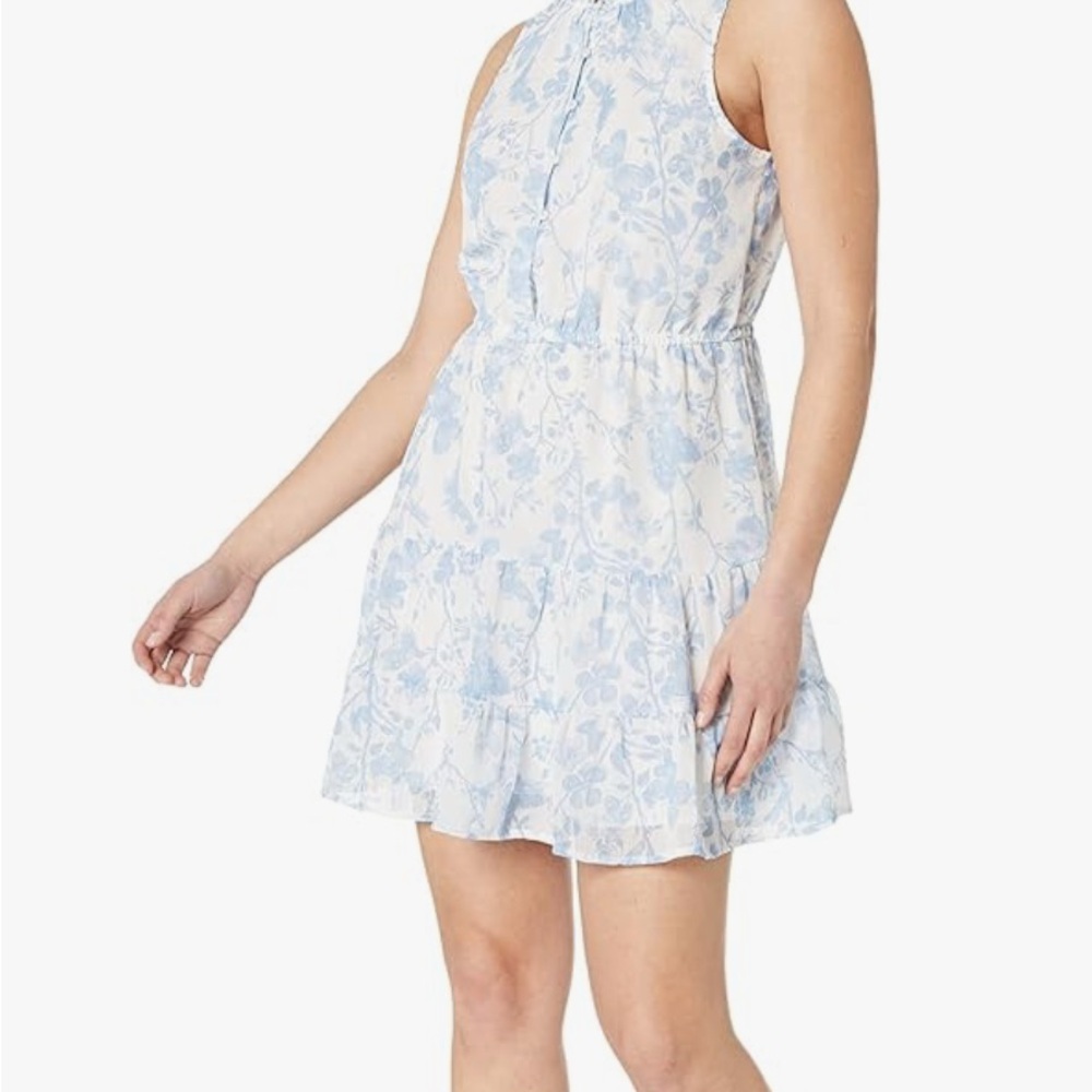 Steve Madden Blue and White Ruffled Dress